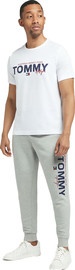 TOMMY HILFIGER טי שירט Tommy Hilfiger לגברים
