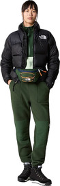 The North Face מעיל The North Face לנשים