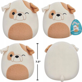 Squishmallow סקווישמלו בובה כרית ברוק כלב הבולדוג 20 ס"מ Squishmallows