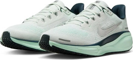NIKE Nike Pegasus 41 FD2723-405 נעלי ריצה