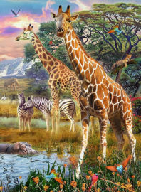 Ravensburger פאזל 150 חלקים ג'ירפות בסוואנה באפריקה