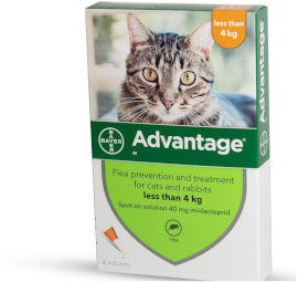 ADVANTAGE אדוונטג' לחתול פרעושים עד 4 ק"ג