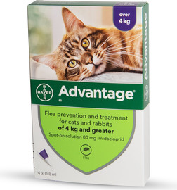 ADVANTAGE אדוונטג' לחתול פרעושים מעל 4 ק"ג