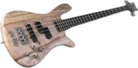 WARWICK סטרימר LX 4 פליים מייפל אויל פיניש STREAMER LX