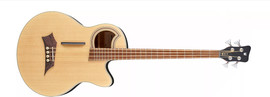 WARWICK גיטרה בס אקוסטית 4 מיתרים ALIEN STANDARD