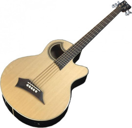WARWICK גיטרה בס אקוסטית 5 מיתרים ALIEN STANDARD