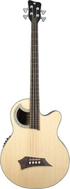 WARWICK גיטרה בס אקוסטית 4 מיתרים ALIEN DELUXE