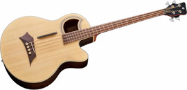 WARWICK גיטרה בס אקוסטית 4 מיתרים ALIEN DELUXE 4 N TS