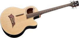 WARWICK גיטרה בס אקוסטית 4 פרטלס עם סימונים + נרתיק ALIEN STANDARD