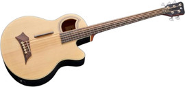 WARWICK גיטרה בס אקוסטית 5 פרטלס עם סימונים + נרתיק ALIEN STANDARD