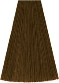 Kadus גוון 7/0 MEDIUM BLONDE NATURAL קאדוס KADUS צבע לשיער 60 גרם