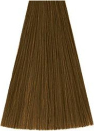 Kadus גוון 8/0 LIGHT BLONDE NATURAL קאדוס KADUS צבע לשיער 60 גרם