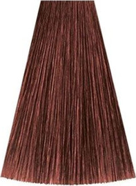 Kadus 7/73 MEDIUM BLONDE BRUNETTE GOLD קאדוס KADUS צבע לשיער 60 גרם