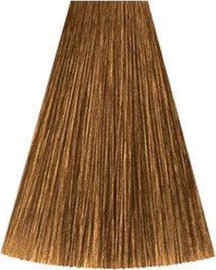 Kadus 8/73 LIGHT BLONDE BRUNETTE GOLD קאדוס KADUS צבע לשיער 60 גרם