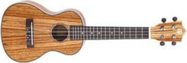בודגוב יוקללה קונצרט Budagov Concert Zebra-L