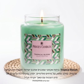 PRICES CANDELS נר פרייסס בריח TROPICAL BLOOM