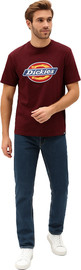 DICKIES טי שירט Dickies לגברים