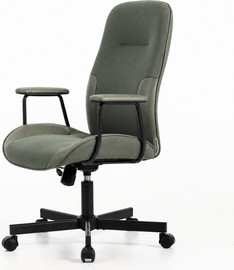 Anisfeld כיסא משרדי ארגונומי דגם – ComfortPro- ירוק