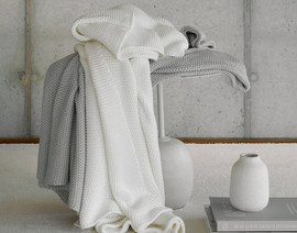 הולנדיה כרבולית Lilium צבע שמנת מבית Hollandia  – Amalia
