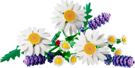 לגו לגו בוטני – סט חינניות Botanical דגם 11508