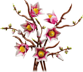 לגו לגו Botanicals – ענפי מגנוליה (11510) LEGO
