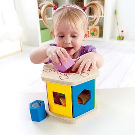 HAPE התאמת צורות
