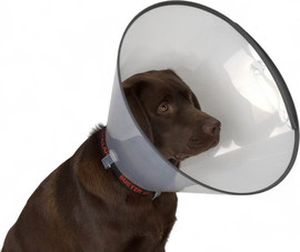 My Pet Pharm צווארון רפואי | 15 ס"מ