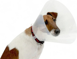 My Pet Pharm צווארון רפואי | 25 ס"מ