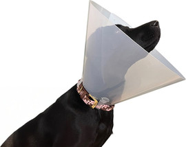 My Pet Pharm צווארון רפואי | 30 ס"מ