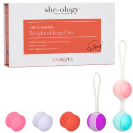CalExotics She-ology® ערכת 6 ביצים סיניות