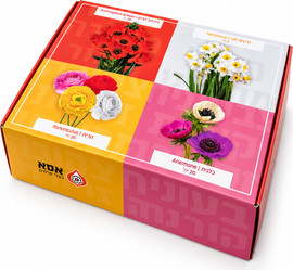 FLORY2GO מארז 70 פקעות פרחים לשתילה – 4 סוגי פקעות