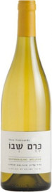 SHVO VINEYARDS כרם שבו סובניון בלאן