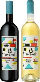 BEN DAVID WINERY זוג יינות בן דוד צעיר