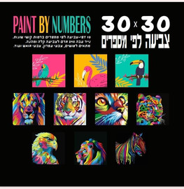 סטנופלסט דפים צביעה לפי מספרים 30*30 -10 דף