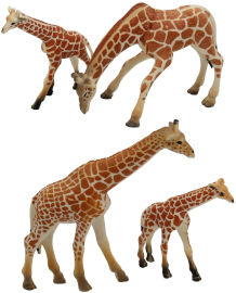 Pit Toys סט משפחת חיות פלסטיק למשחק ושעשועי דמיון - ג'ירפות