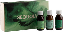 SEQUOIA מארז BACK TO REST