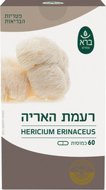 ברא רעמת האריה