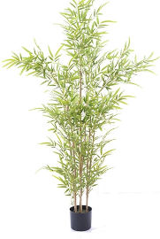 BuyCarpet עציץ מלאכותי במבוק