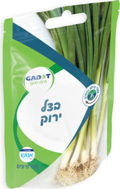 גדות אגרו זרעים לשתילה בצל ירוק 100 זרעים