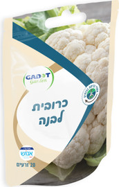 גדות אגרו זרעים לשתילה כרובית לבנה 20 זרעים