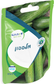 גדות אגרו זרעים לשתילה מלפפון 10 זרעים