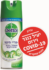 דטול ספריי חיטוי בניחוח אביבי