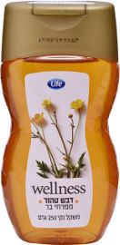 Life Wellness דבש טהור מפרחי בר
