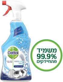 דטול תרסיס לחדר האמבטיה