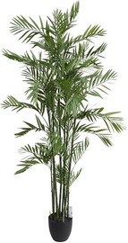 Amgazit עץ מלאכותי תמר 3 1.80 מטר INDOOR