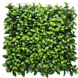 Messina קיר ירוק דגם גרדנייה 100X100 סמ