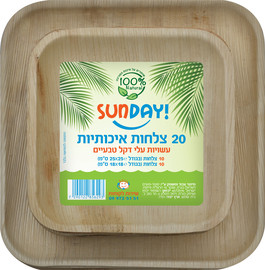 סאנדיי סט צלחות עשויות עלי דקל טבעיים