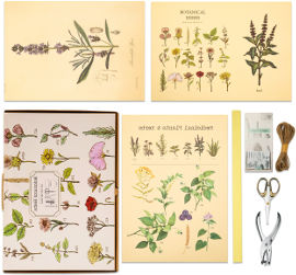 Funky Fish ערכה לעיצוב הבית בסגנון BOTANICAL HERBS