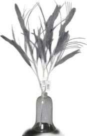 B-DECOR גבעול עלי נוצה בצבע אפור במידות 87cm