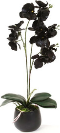 B-DECOR עציץ סחלב סיליקון 58 ס"מ צבע שחור